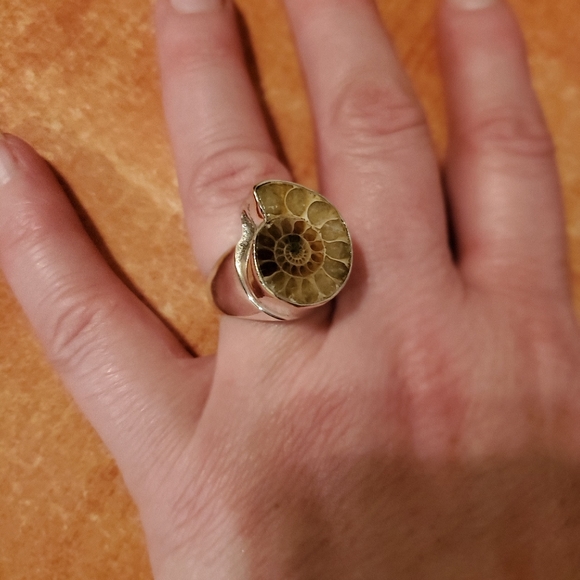 New Men's Ammolite 925 Silver Ring. - Picture 4 of 8